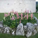 Peyre-blanche Holiday home *