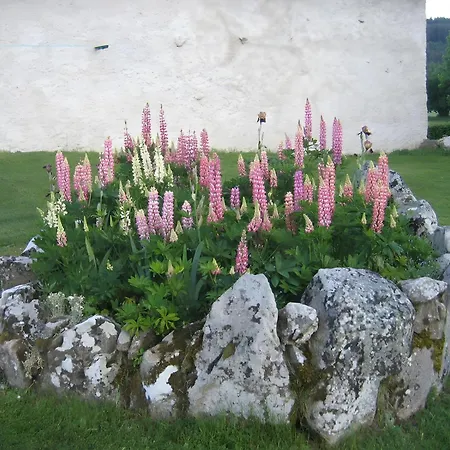 Peyre-blanche Ferienhaus Saint-Alyre-d'Arlanc